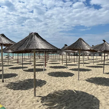 Andrea&alice - * 格勒姆